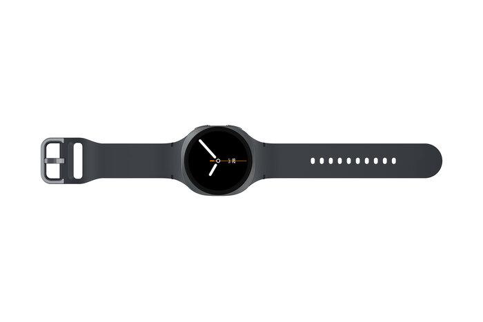 Samsung Galaxy Watch 8 40mm Gray (SM-L320NDAACIS)